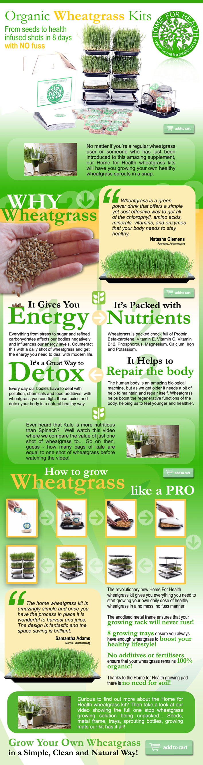 Wheatgrass Kits Landing Page