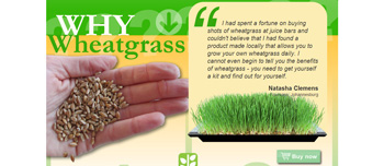 Wheatgrass Kits Landing Page