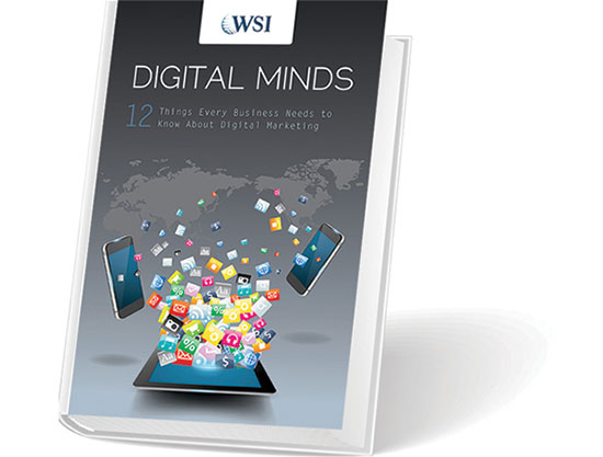 Digital Minds - WSI Book